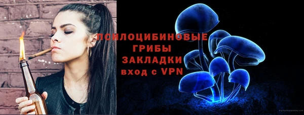 стаф Армянск