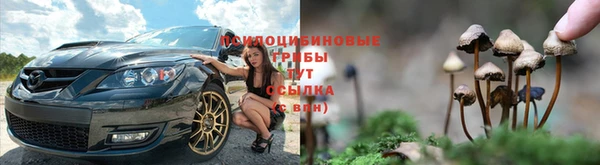 соль ск Аркадак