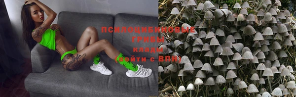 соль ск Аркадак