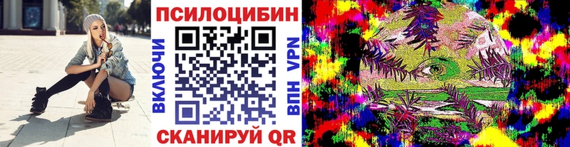 Галлюциногенные грибы Psilocybe  купить   Углегорск 